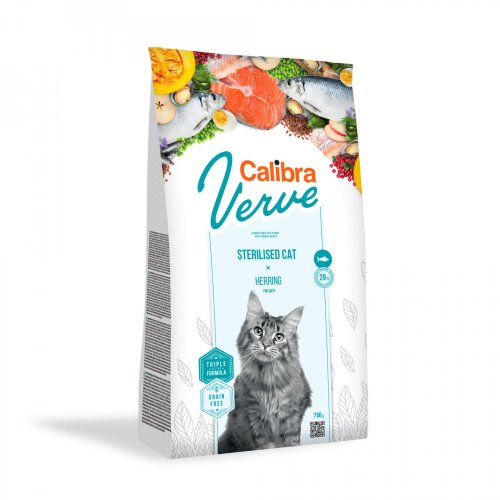 Cat Verve
